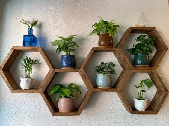 مجموعه 5 قفسه شش ضلعی قفسه های لانه زنبوری دیوار قفسه گیاهی |  اتسی