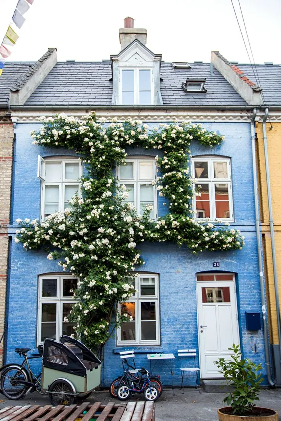 تور Østerbro: Fælledparken ، معماری مدرن دانمارک و یک خیابان رنگارنگ در کپنهاگ