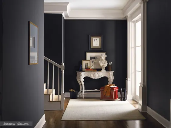 Paint Color SW undefined Black Tricorn from Sherwin-Williams