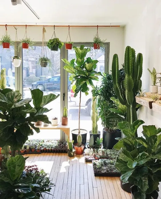 24 فروشگاه گیاهانی که هر گیاه دوست را به خود جلب می کنند - Dalla Vita