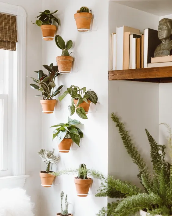 Pflanzen dekorieren: So setzt ihr euer Grün perfekt در Szene