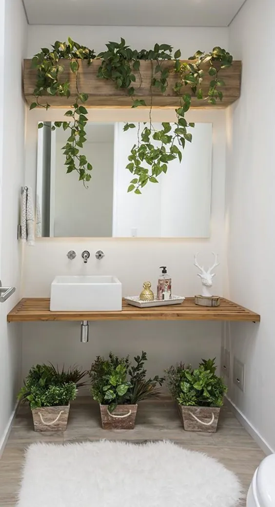 10 espécies de plantas برای تزئینات banheiro