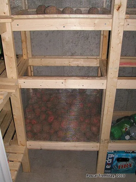 در اتاق سرد در زیرزمین قدم بزنید - ایده های ذخیره سازی مواد غذایی کنسرو شده
