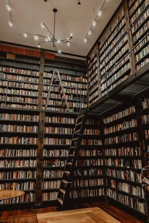 هدف من این است که خانه ام شبیه قفسه های کتاب در بانک هنرهای جزیره استونی در ساوتساید شیکاگو باشد.