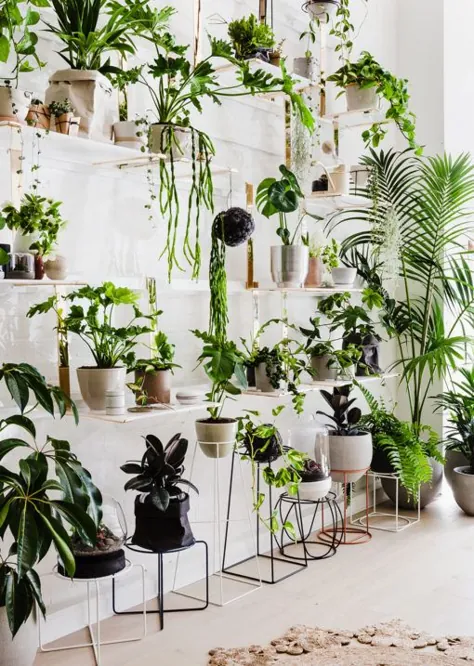 The Plant Room - The Design Files |  محبوب ترین وبلاگ طراحی استرالیا.