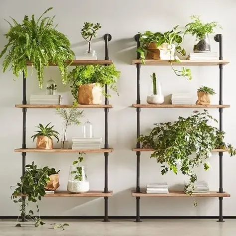 16 پروژه دیوار گیاهان داخلی که هرکسی می تواند انجام دهد