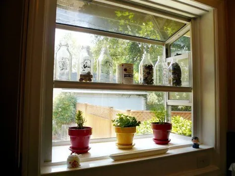 باغبانی داخلی: جعبه پنجره های آشپزخانه