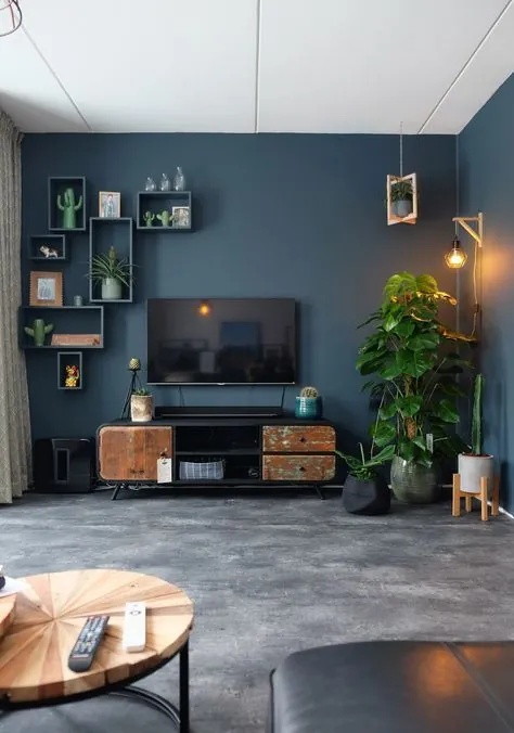 Industriële tv kast en veel planten. اونزه وونکمر - ZoSammieEnzo