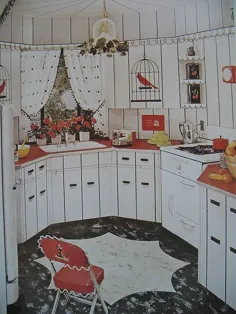 آشپزخانه 1950s قفس پرندگان