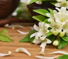 ایده های خلاقانه بالابر لیوان چای خوری - زندگی تازه ای به چین قدیمی می بخشد