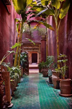 جادوی طراحی باغ مراکش