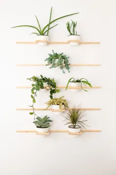 دیوار زندگی DIY |  دارندگان گیاهان رولپلاک چوبی