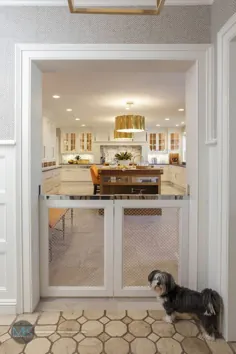 ایده های عالی سگ برای خانه - بشکه ترشی