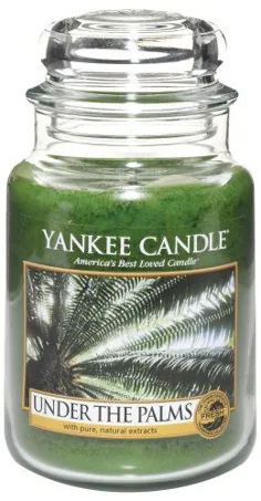 شمع Yankee Under The Palms شمع شیشه کوچک ، رایحه تازه