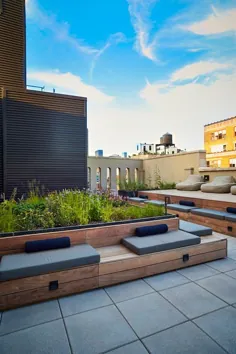 پیت اودولف باغ پشت بام را برای ساختمان کانکس نیویورک ایجاد می کند