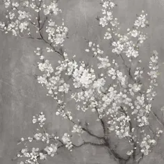 شکوفه های سفید گیلاس II در محصول خاکستری توسط Danhui Nai