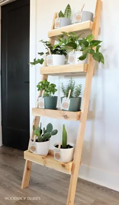 قفسه نردبان گیاهان DIY {ایده ای برای باغ های داخل ساختمان دوستانه!}