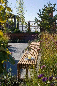 طراحی Roof Garden: نکاتی برای دیوارها و نرده های تراس