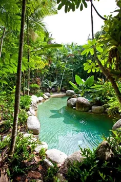 پارک ملی هتل Silky Oaks Lodge & Healing Waters Spa Mossman Daintree