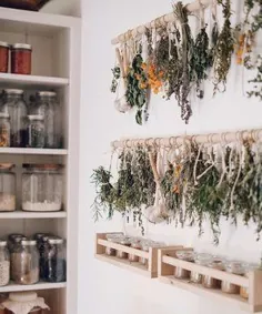 قفسه خشک کن علف های خشک DIY برای گیاهان باغ خود