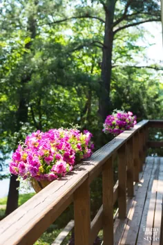 گیاهان نرده عرشه جعبه گل Lakeside