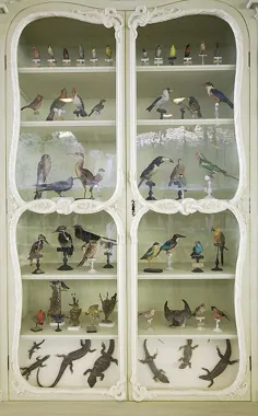کابینه کنجکاوی بنیر دو لا ماسون ، کتابخانه موزه تاریخ طبیعی ، پاریس