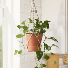 پایه BUSKBO گیاه ، خیزران - IKEA