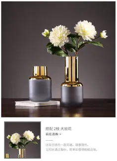 گلدان گلدان شیشه ای پنوم پن هیدروپونیک گل آرایی شفاف میز اتاق نشیمن تزئین گلدان