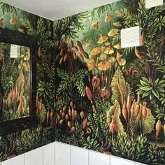 Amazonas Dschungel abnehmbare Tapete، Neu Positionierbar، helle Pflanzen، bunte، Jahrgang Wand Wandbild، tropische Wand Dekor # 07